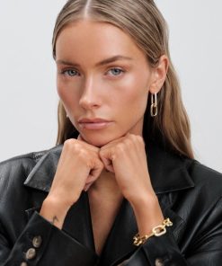 Orhangen Ani Jewels | Chain Earrings Pave Gold Guld